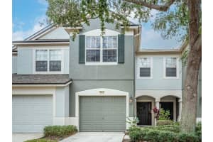 4916 Barnstead Dr, RIVERVIEW 4916 Barnstead Dr, RIVERVIEW