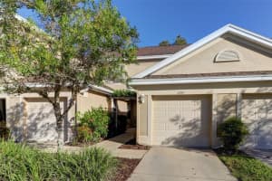 6243 Duck Key Ct, TAMPA