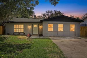 10217 N Pawnee Ave, TAMPA