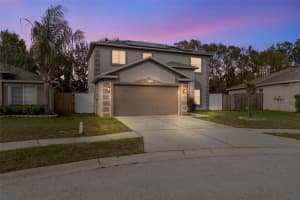 31001 Midtown Ct, WESLEY CHAPEL 31001 Midtown Ct, WESLEY CHAPEL