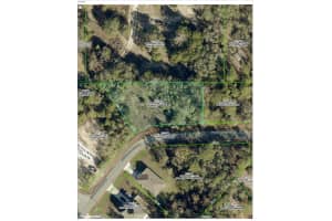 12095 Ipswich Sparrow Rd, WEEKI WACHEE 12095 Ipswich Sparrow Rd, WEEKI WACHEE