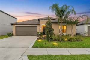 31713 Sun Kettle Loop, WESLEY CHAPEL