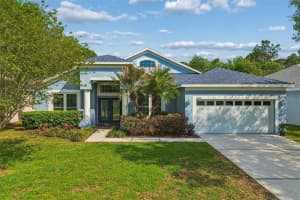 5214 Villagebrook Dr, WESLEY CHAPEL