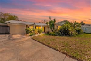 6429 N Gomez Ave, TAMPA