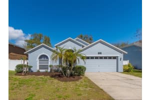 809 Duval Ct, SAFETY HARBOR 809 Duval Ct, SAFETY HARBOR