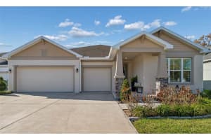 4910 Lakeshore Oaks Ct, TAMPA