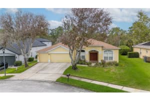 6111 Heroncrest Ct, LITHIA