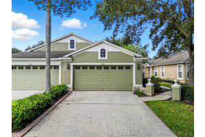 19120 White Wing Pl, TAMPA