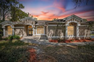 5838 Audubon Manor Blvd, LITHIA