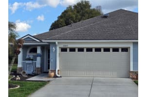 31965 Stillmeadow Dr, WESLEY CHAPEL