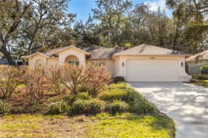 2396 Galahad Ave, SPRING HILL