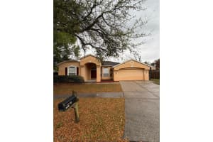 302 Crystal Goblet Ct, VALRICO