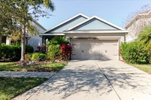 6516 Salt Creek Ave, APOLLO BEACH
