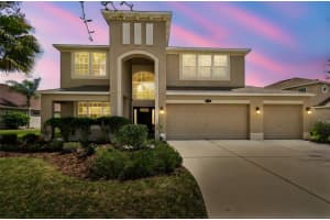 10837 Breaking Rocks Dr, TAMPA