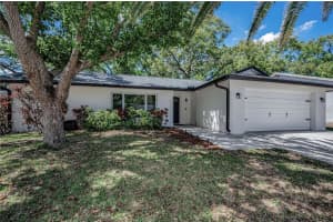 321 Arbor Dr E, PALM HARBOR
