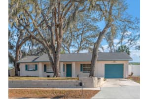 1001 Hallwood Loop, BRANDON