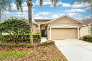 8210 Canary Canyon Way, TAMPA