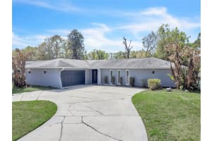 4727 Steel Dust Ln, LUTZ