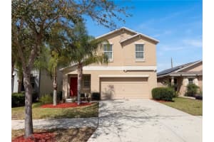 17005 Peaceful Valley Dr, WIMAUMA