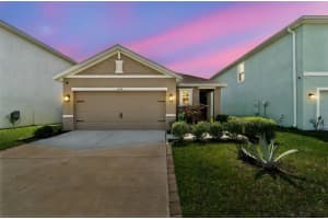 31378 Penny Surf Loop, WESLEY CHAPEL
