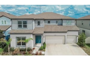 13079 Willow Grove Dr, RIVERVIEW 13079 Willow Grove Dr, RIVERVIEW