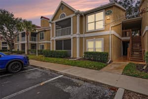 9481 Highland Oak Dr #1416, TAMPA