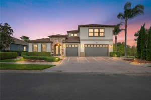 31335 Driscoll Dr, WESLEY CHAPEL