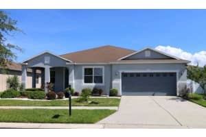 11114 Hartford Fern Dr, RIVERVIEW