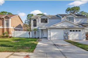 5215 Corvette Dr, TAMPA