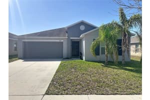 10241 Strawberry Tetra Dr, RIVERVIEW