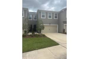 17623 Ledger Line Ln, LUTZ