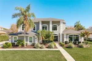 4010 Executive Dr, PALM HARBOR 4010 Executive Dr, PALM HARBOR