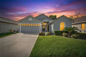 1407 Bloomingdale Trails Blvd, BRANDON