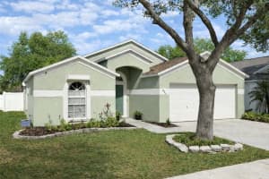 856 Rocky Mountain Ct, VALRICO