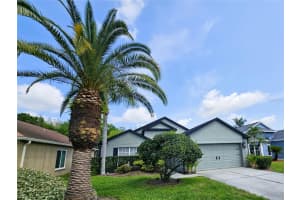 4521 Gulfwinds Dr, LUTZ