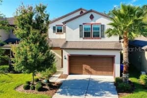 6402 Yellow Buckeye Dr, RIVERVIEW