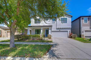 871 Vino Verde Cir, BRANDON