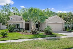 8263 Swann Hollow Dr, TAMPA
