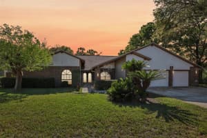 17922 Clear Lake Dr, LUTZ 17922 Clear Lake Dr, LUTZ