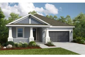 3021 Parapet Terrace Pl, PLANT CITY
