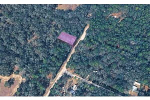 10452 N Dunedin Rd, DUNNELLON