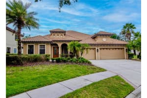 20110 Pond Spring Way, TAMPA