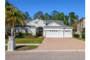 10515 Canary Isle Dr, TAMPA 10515 Canary Isle Dr, TAMPA