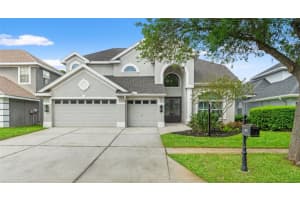 11627 Renaissance View Ct, TAMPA