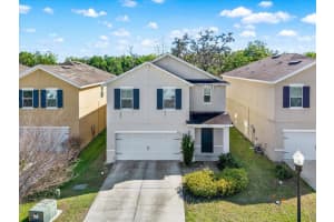 10219 Hawk Storm Ave, TAMPA