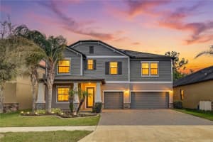 13315 Orca Sound Dr, RIVERVIEW