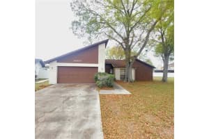 14902 Oldgate Pl, TAMPA 14902 Oldgate Pl, TAMPA