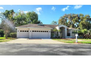 3037 Crest Dr, CLEARWATER