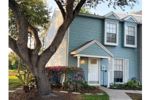 16302 Rambling Vine Dr W, TAMPA