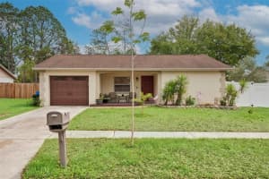 13837 Pathfinder Dr, TAMPA
